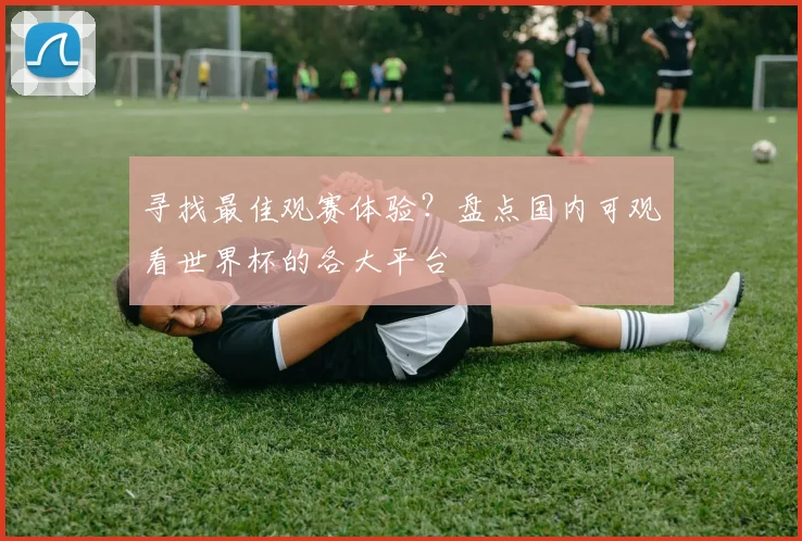 寻找最佳观赛体验?盘点国内可观看世界杯的各大平台