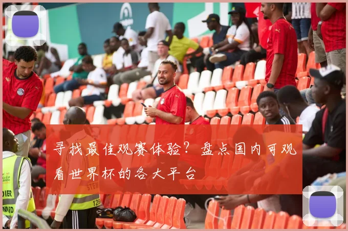 寻找最佳观赛体验?盘点国内可观看世界杯的各大平台