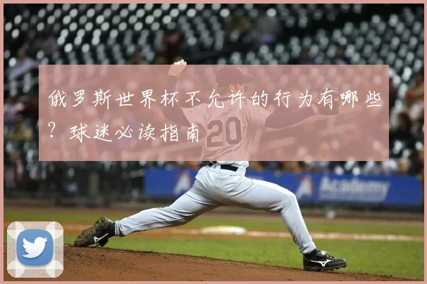 俄罗斯世界杯不允许的行为有哪些？球迷必读指南