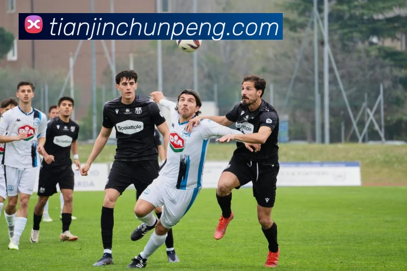 beat365亚洲版平台生态图